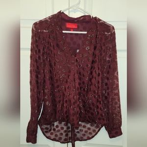 EUC Jennifer Lopez Long sleeve sheer blouse